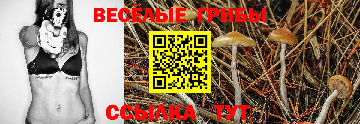 Галлюциногенные грибы Psilocybine cubensis  Вход с VPN  Гулькевичи 